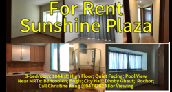 Sunshine Plaza (D7), Apartment #243528821